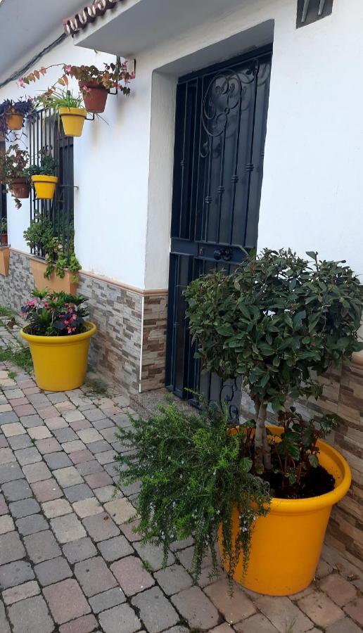 Apartamento En Casco Historico Эстепона Экстерьер фото